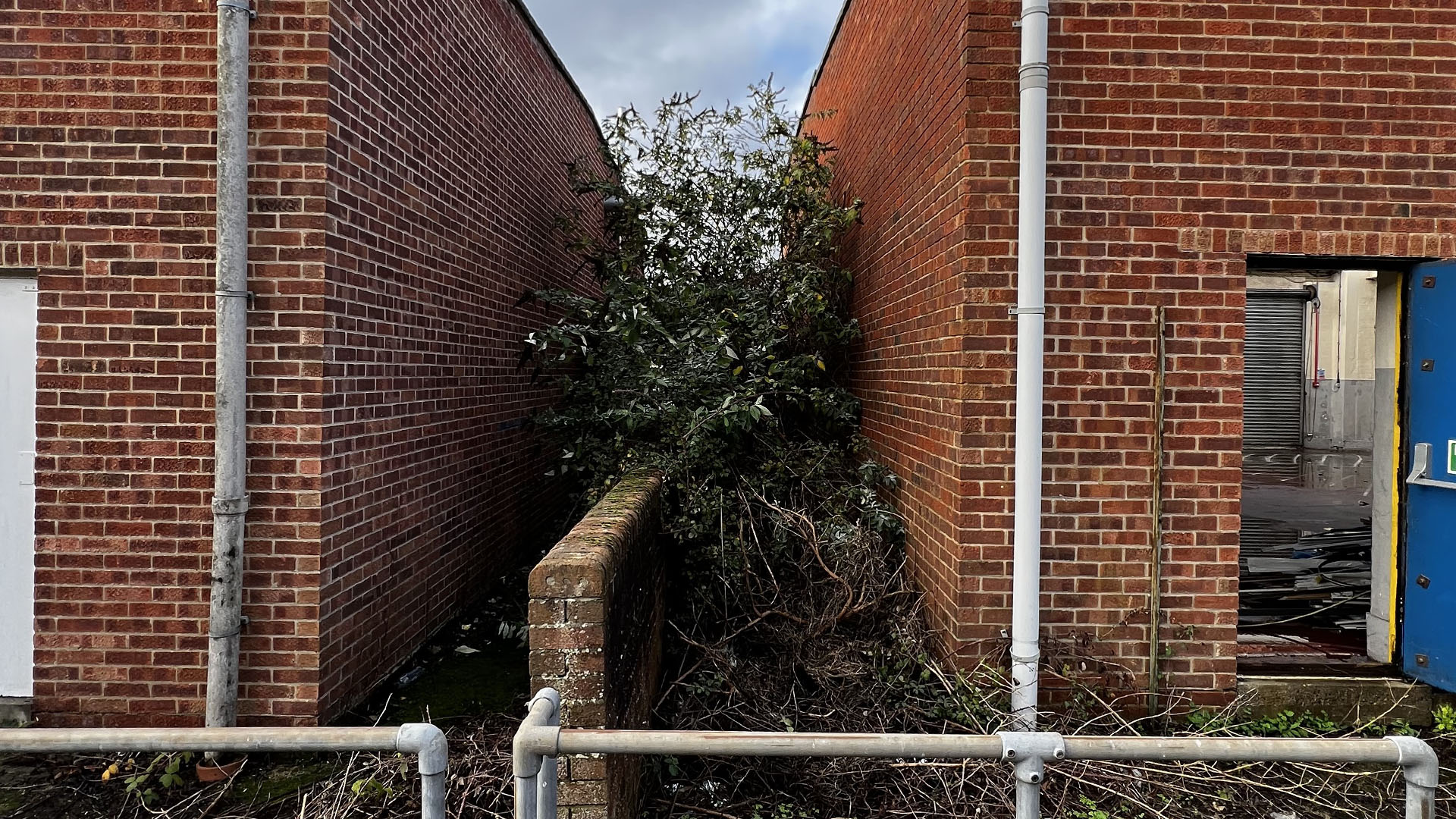 Who Should You Contact First — The Council, a Surveyor, or Your Neighbour Croydon?
